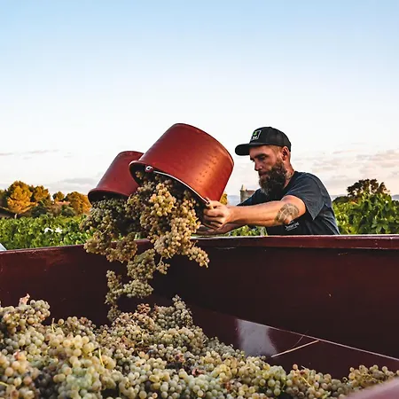 Tipis Du Domaine De Pélican Tente de luxe *